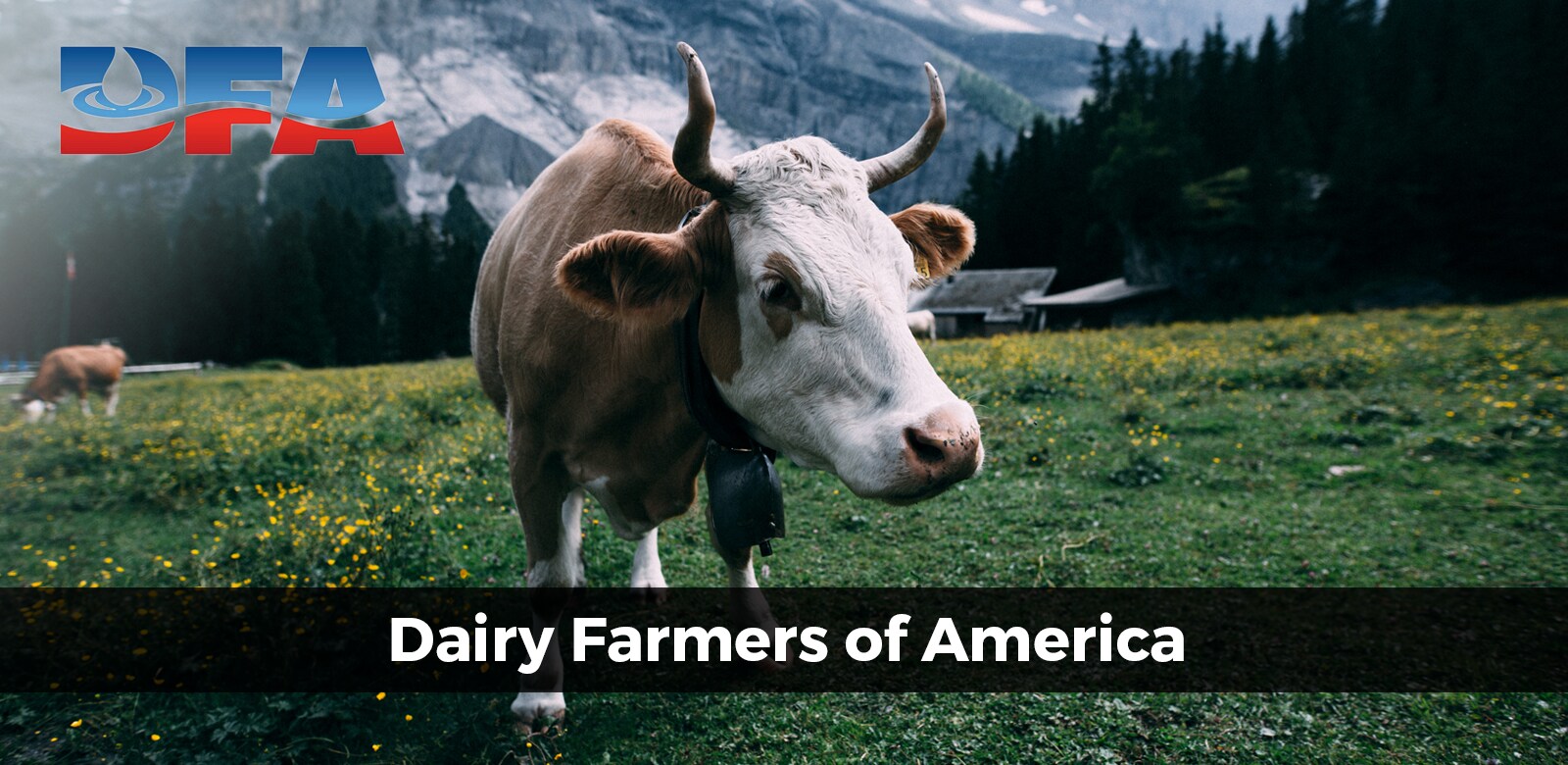 6DairyFarmersofAmerica.png