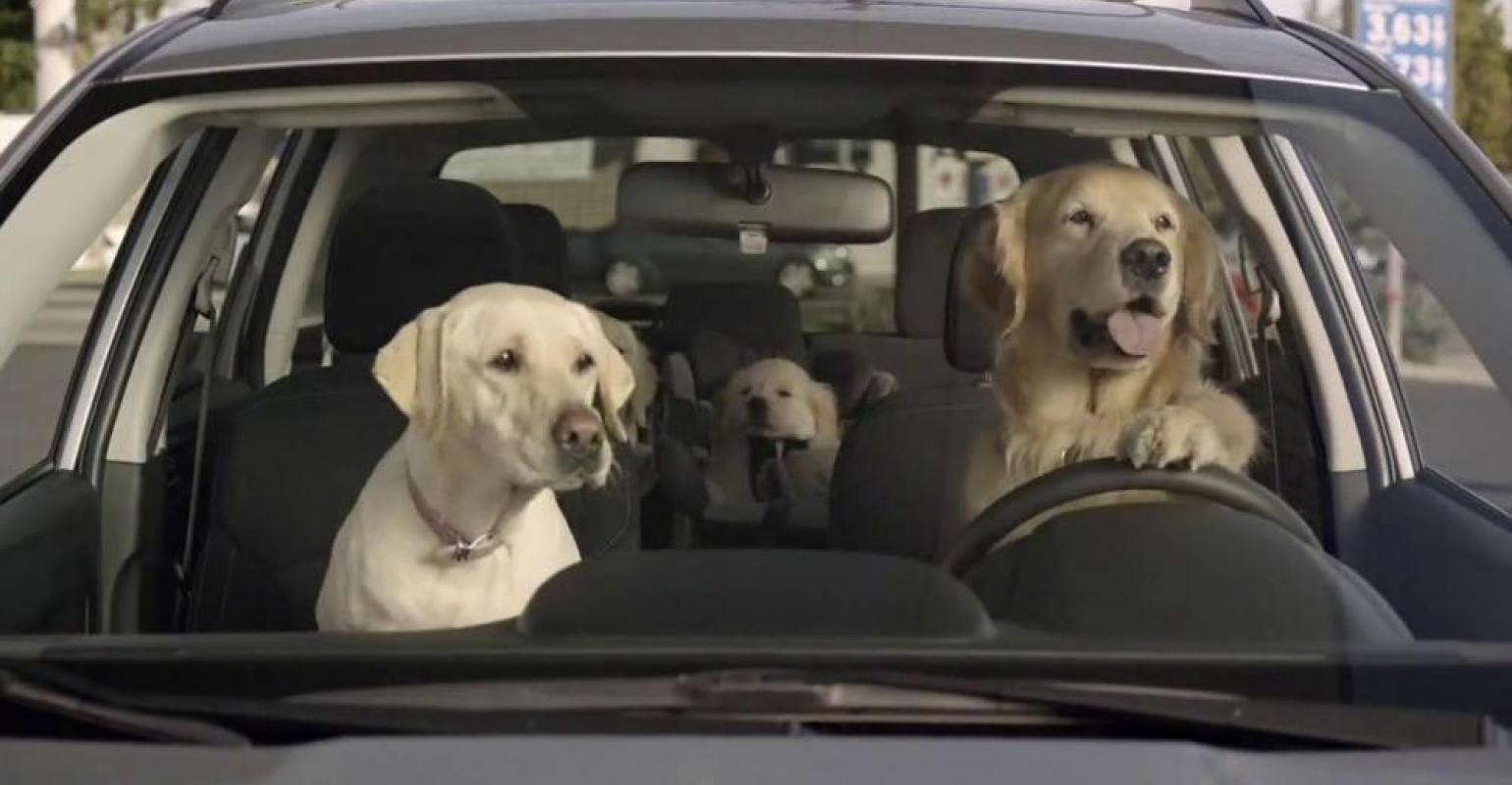 subaru-dog-tested-gas-station-large-9.jpg
