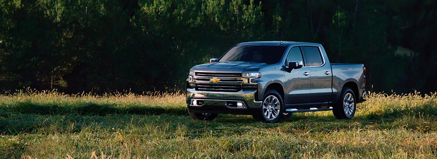 Chevrolet Silverado 1500 Exterior