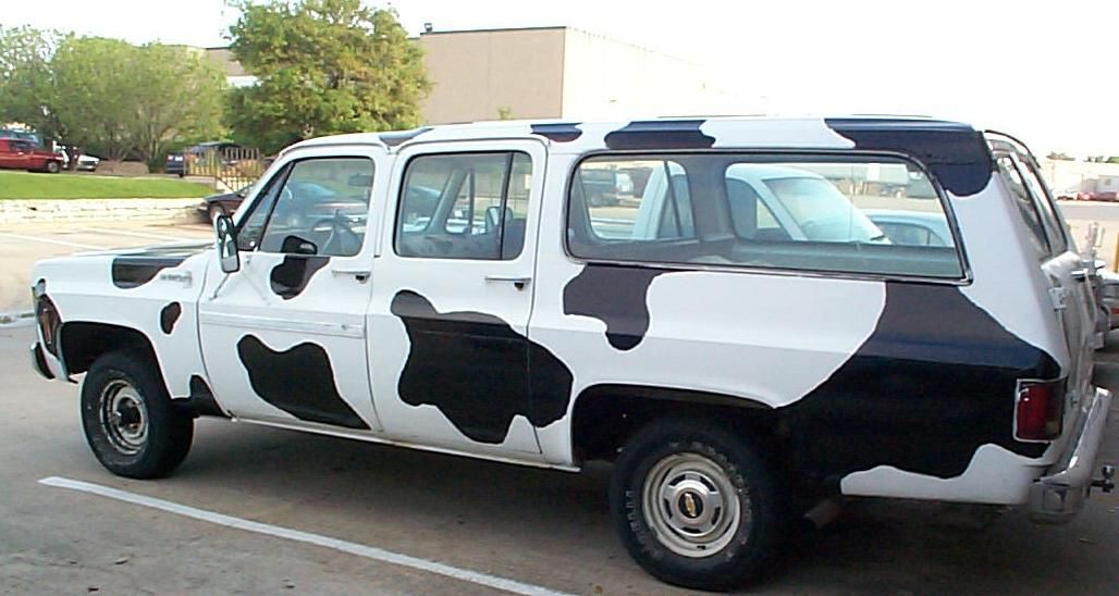 cow.jpg