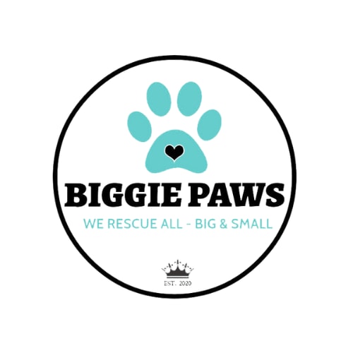 Biggie Paws Pet Rescue.png