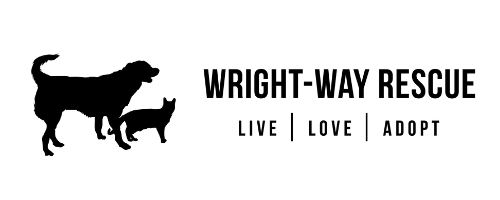 Untitled%2Bdesign%2B(4).png