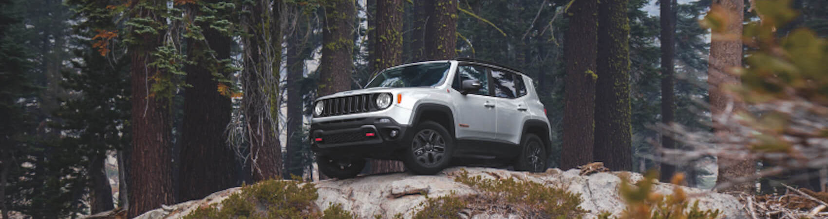 Jeep Renegade Off Road