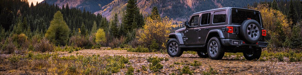 Jeep Wrangler Exterior