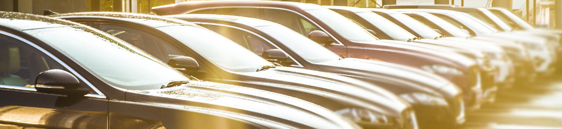 used car banner.jpg