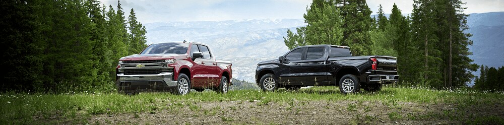 Chevy Silverado 1500 Trucks