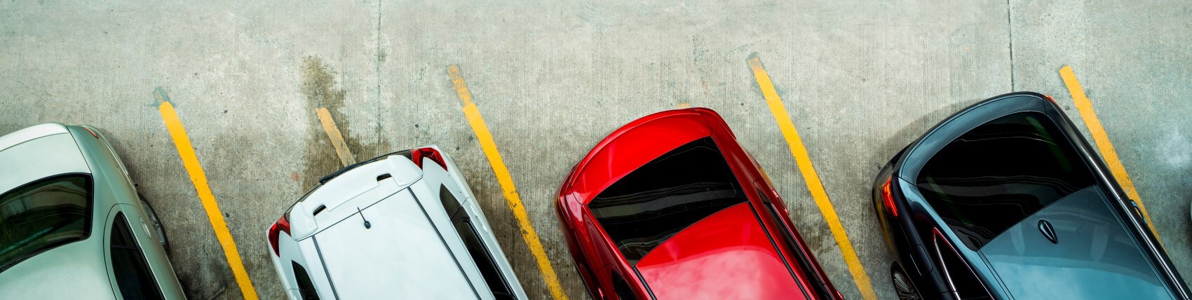Cars parked in lot view of the rear bumpers.jpg