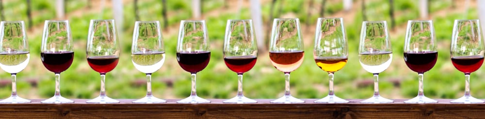 Mountain View Vineyard