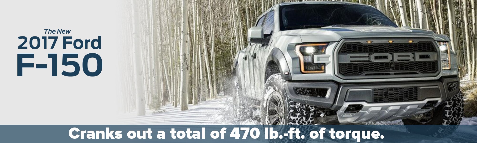 December_Lacy_17F-150_LPI_PageBreak.png
