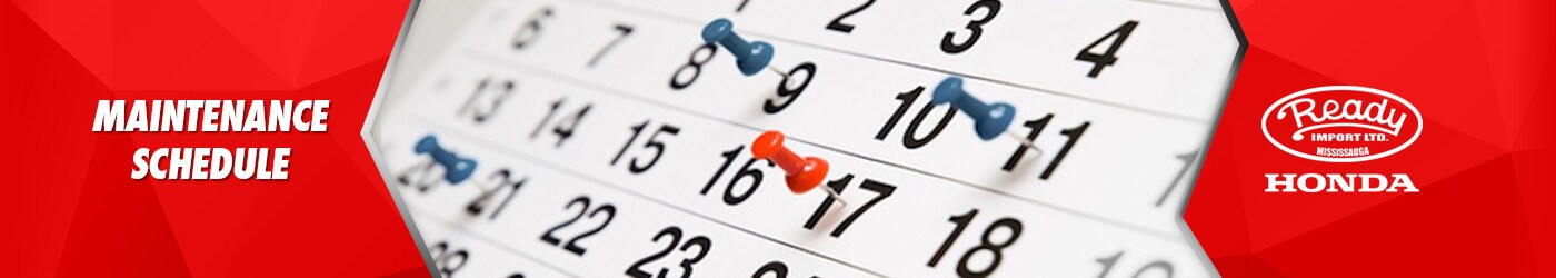 Maintenance Schedule