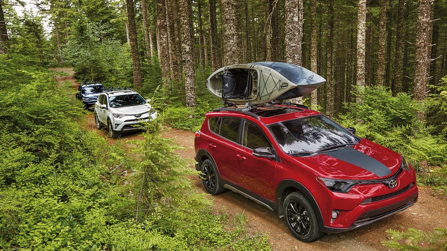 2018_rav4.jpeg 2018 Toyota Rav4