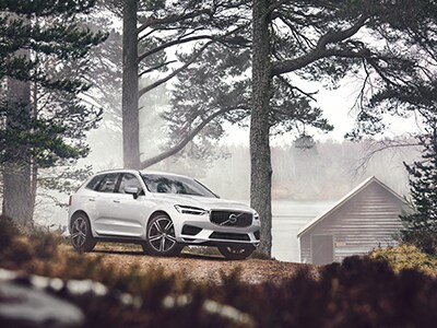 XC60 SM P2.jpg