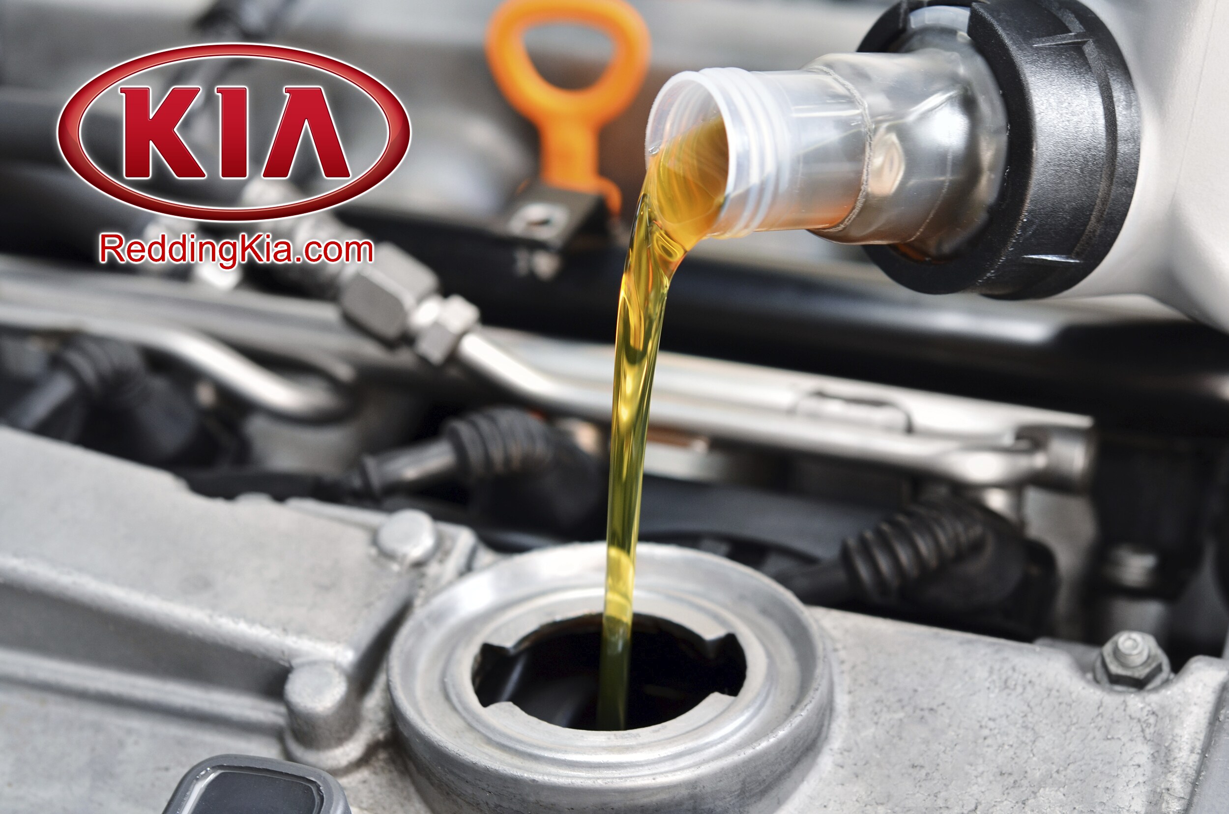 ReddingKia-OilChangePic.png