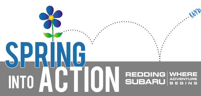 Subaru-Spring-Into-Action-2019.png
