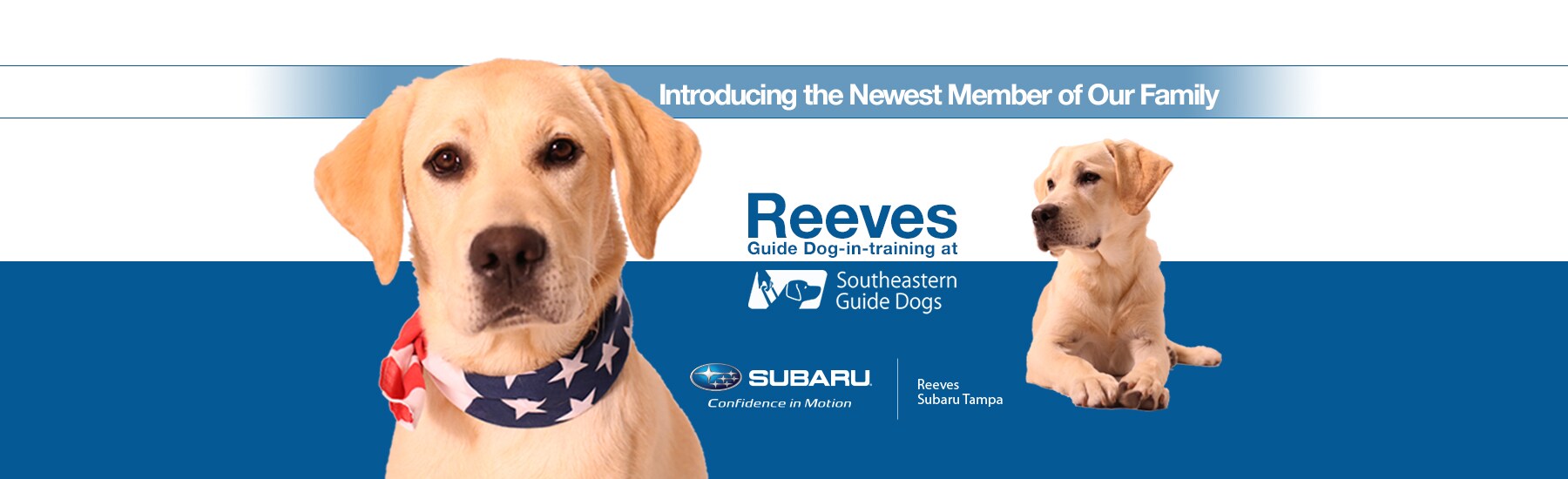 May_Reeves-Dog_1800x550_No_CTA.jpg Reeves Guide Dog