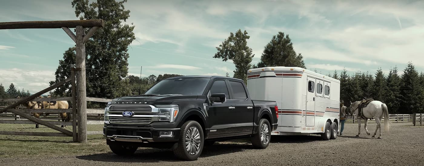 Trucks%20for%20Sale%20Near%20Bowling%20Green%202025%20Ford%20F-150%20Platinum%20-%20Towing.jpg Black 2025 Ford F-150 Platinum towing a horse trailer