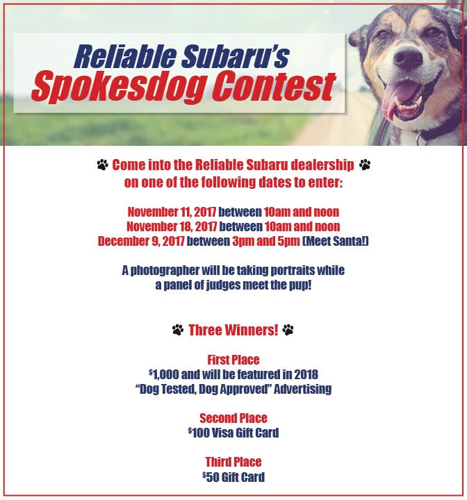 Celebrity Spokesdog
