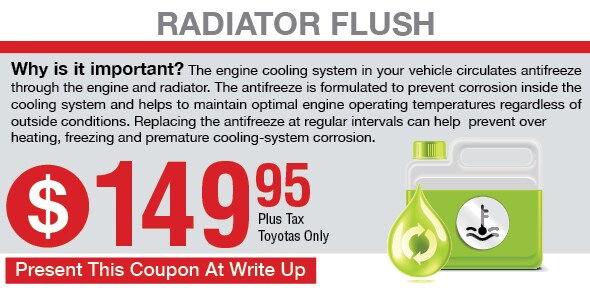 RTMO_RadiatorFlush_Print.jpg