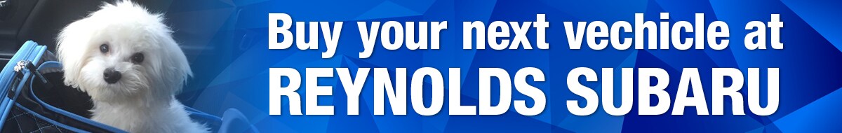 2017-05-reynoldssubarusoa-Next-Vehicle-BN.jpg