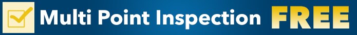 Multi_Point_Inspection-Free.jpg