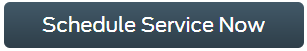 Schedule Service.PNG