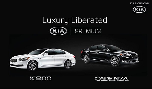 luxury4.jpg