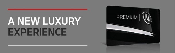 LUXURY3.jpg