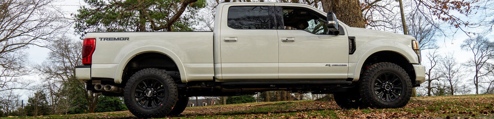 Ford F-250 White
