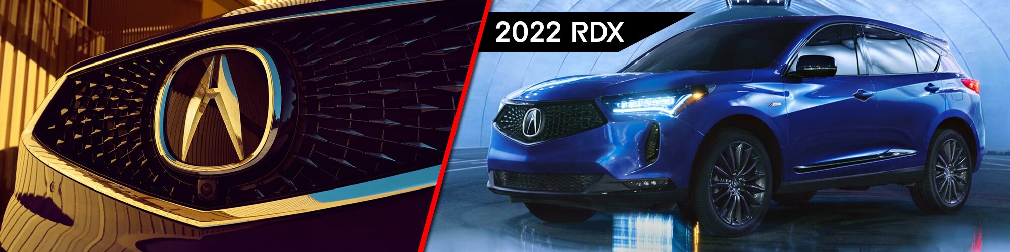 RDX_BANNER_SLIDE.jpg