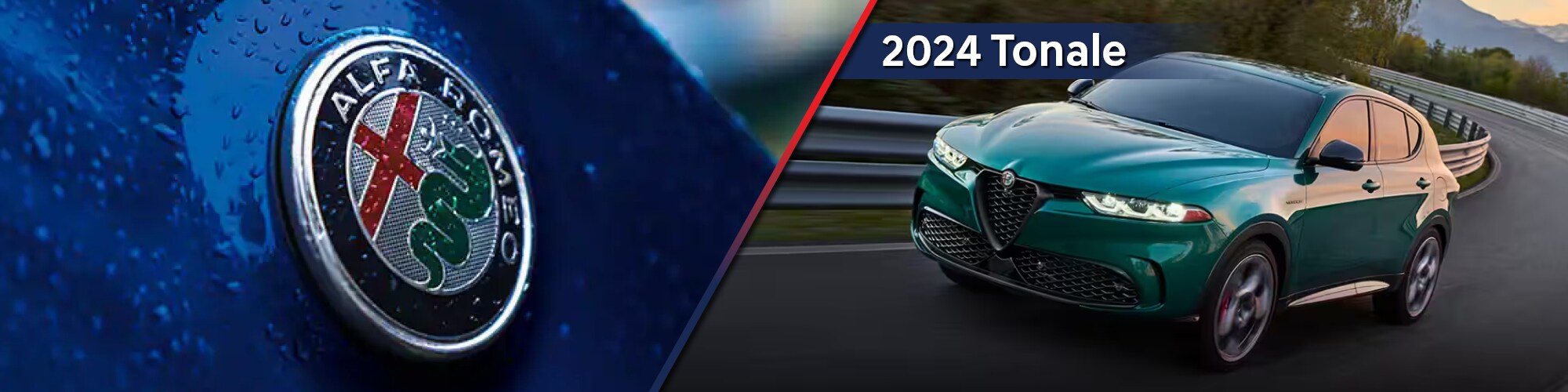 TONALE_BANNER_SLIDE.jpg
