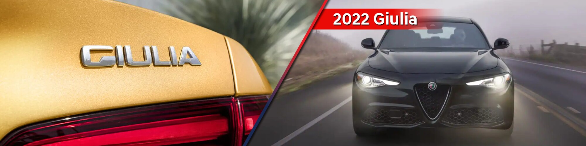 GIULIA_BANNER_SLIDE.jpg