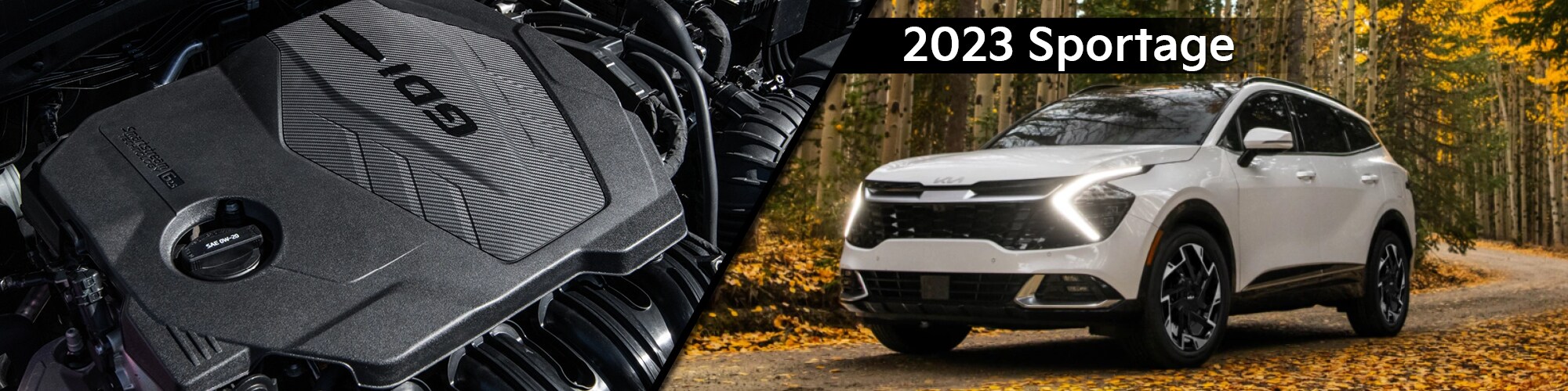 SPORTAGE_BANNER_SLIDE.jpg