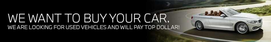 We Want To Buy Your Car