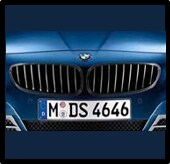 Performance Black Kidney Grill