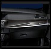 Carbon Fiber Interior Trim Package