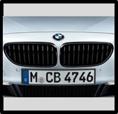 BMW Performance Black Kidney Grills