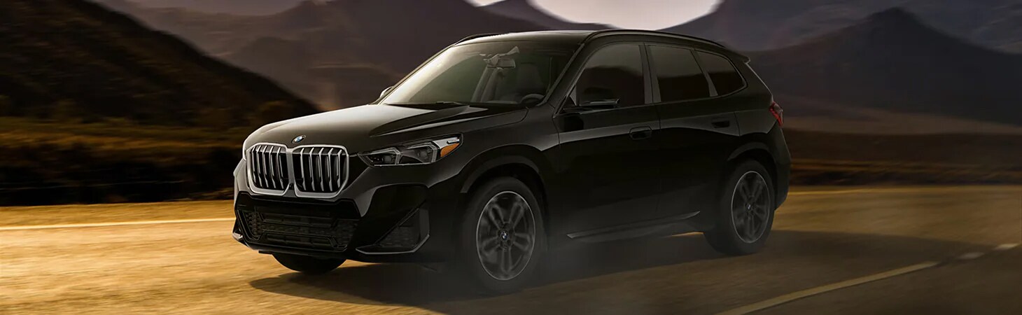 New 2024 X1 Rick Hendrick BMW Charleston