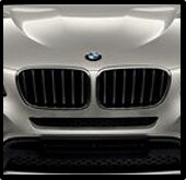 M Performance Black Kidney Grille