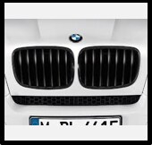 Performance Black Kidney Grille