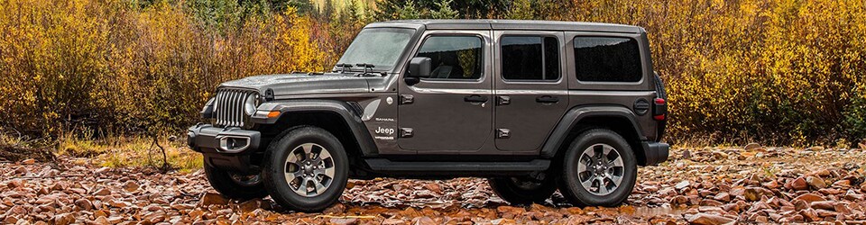New 2018 Wrangler Rick Hendrick CDJR Duluth