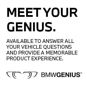 Meet your genius.jpg