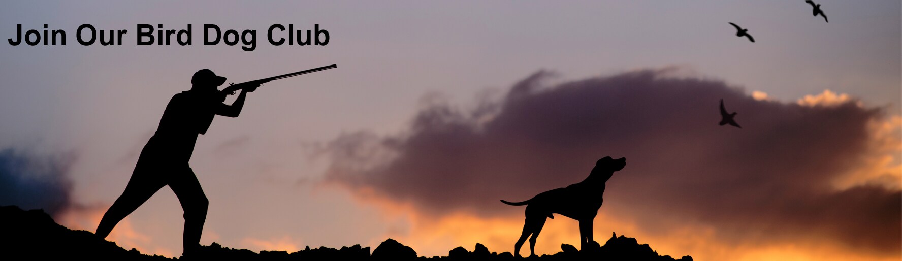 Bird Dog Club