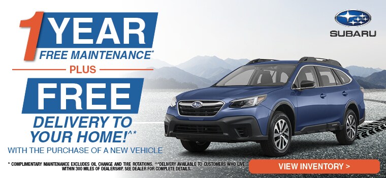 1 Year Free Maintenance and Free Delivery