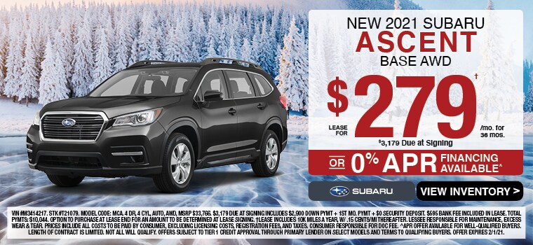 RRS-229 January Specials Banners (1-2021)3.jpg
