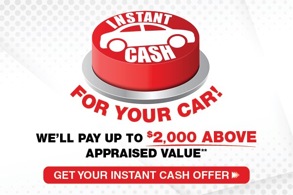 Instant Cash for Your Car