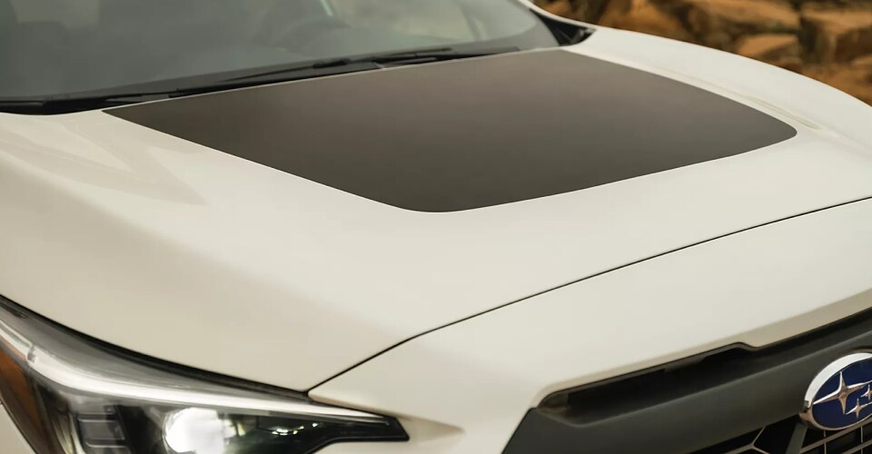 Gallary_2