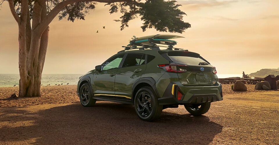 2025 Ascent