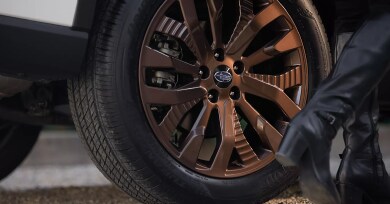2025 Forester Gallery_2