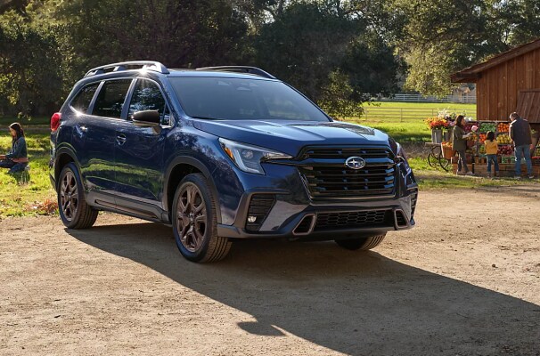 2025 Ascent
