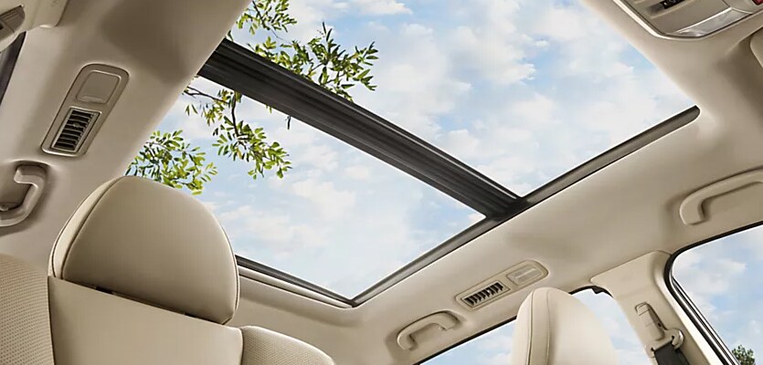 2025 Ascent